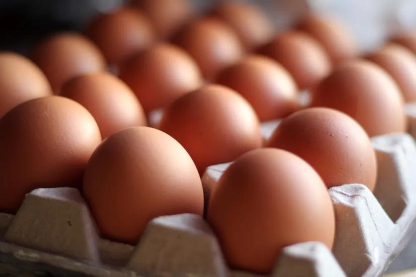 Carton of brown eggs in a container potentially affected by the Black Sheep Egg Company Salmonella recall